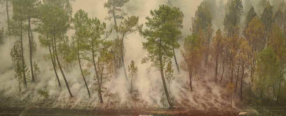 Fires in Gironde firefighters as reinforcements from Europe 7400 hectares