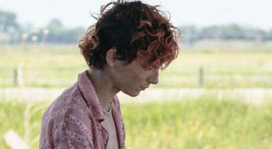 First trailer with Timothee Chalamet mixes cannibalism with romance
