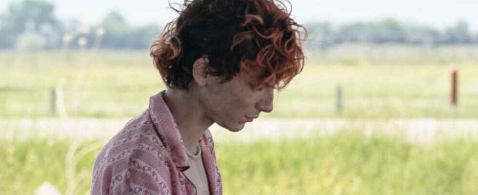 First trailer with Timothee Chalamet mixes cannibalism with romance