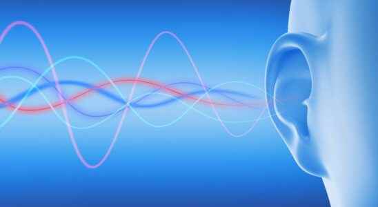 Gene mutation causes hearing loss in mice