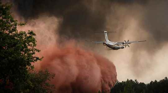 Gironde three questions on zombie fires partly responsible for the