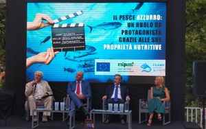 Hub Mipaaf presented at the Isola del Cinema in Rome