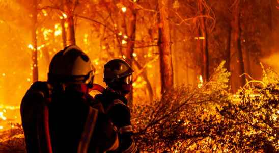 In Gironde firefighters supported by European reinforcements stop the progression