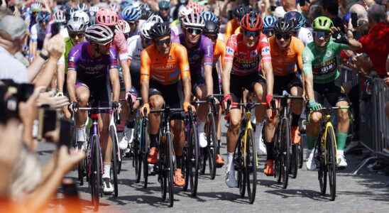 Live Vuelta peloton enters the province of Utrecht spectacle expected