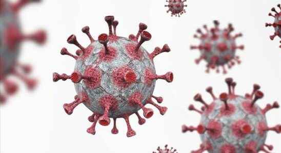 Monkeypox virus alert in the USA Emergency declared