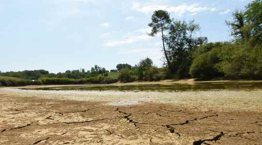 More drinking water dry crops the government faced with a