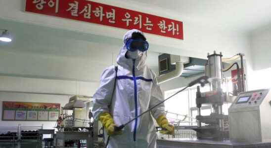North Korea says all sick are cured