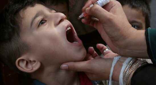 One million London children receive polio boosters