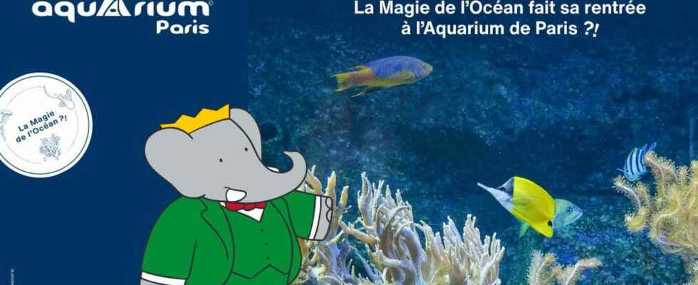 Paris Aquarium Babar is back