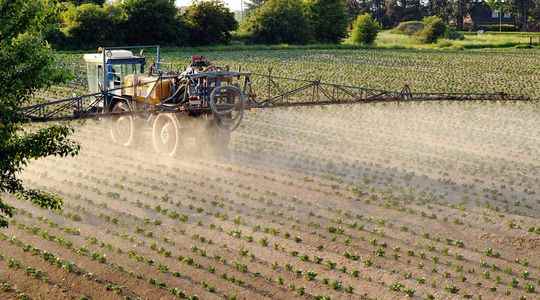 Pesticides the long fight of farmers to have their diseases