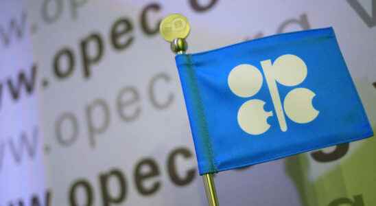 Russia is essential to OPEC according to its secretary