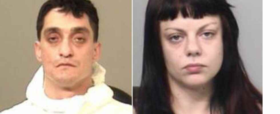Search continues for Brantford murder suspects