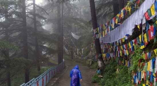 Several dead after monsoon rains in northern India