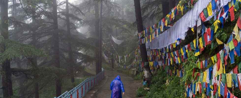 Several dead after monsoon rains in northern India