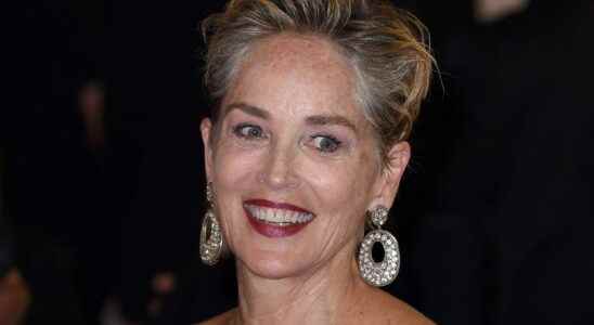Sharon Stone 64 flaunts her flat stomach in a sexy
