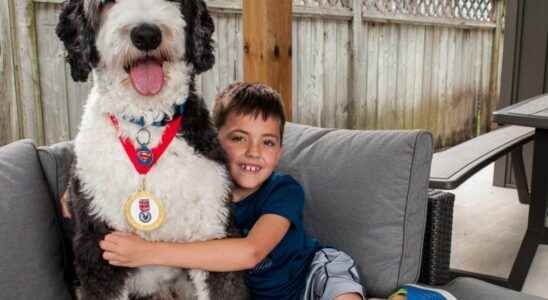 Stratford pooch named after superhero canine Krypto saves the day