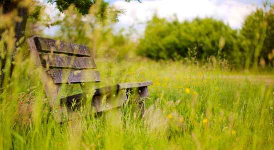 Subsidy on nature benches should get more people out for