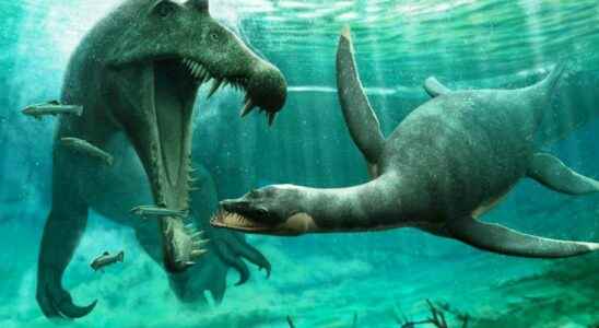 Surprise plesiosaurs also lived in rivers with spinosaurs