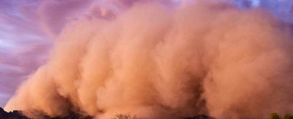The mysterious valley fever would come from sandstorms