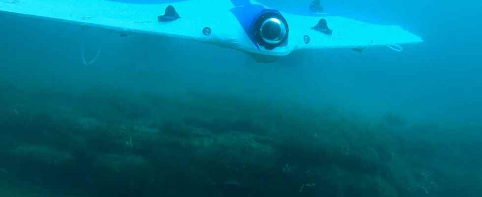 This underwater drone goes on a treasure hunt