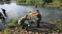 Tons of dead fish found in the Oder River according