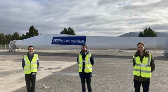 Zebra an eco designed and fully recyclable wind turbine blade