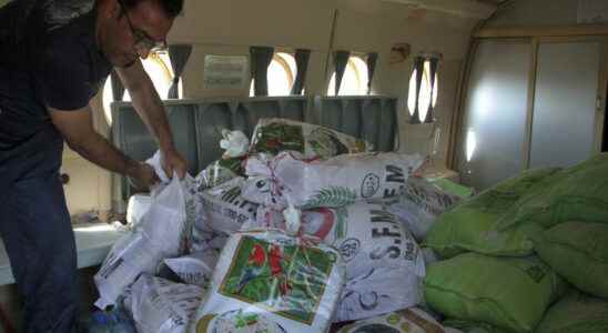 international aid is organized in the face of the floods