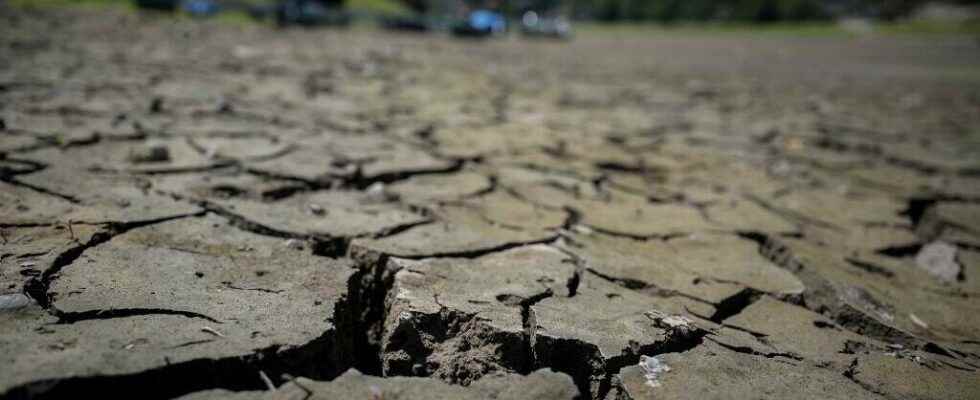 new peak of heat and increased drought