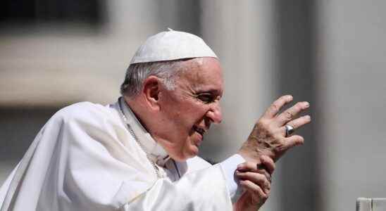 who are the twenty new cardinals created by Pope Francis