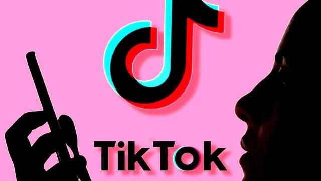how much to earn from tiktok
