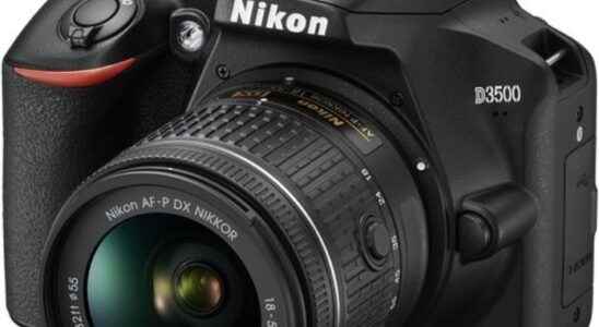 Best DSLR Cameras for Beginners 2022 Best Entry Level Options for