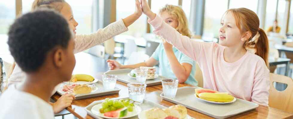 Canteens 2022 100 vegetarian meals in some schools