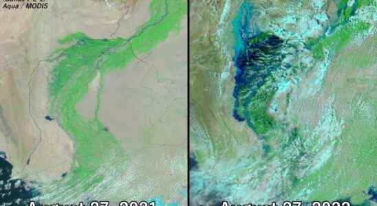 Deluge in Pakistan global warming has triggered a chain reaction