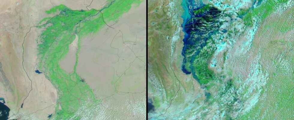 Deluge in Pakistan global warming has triggered a chain reaction