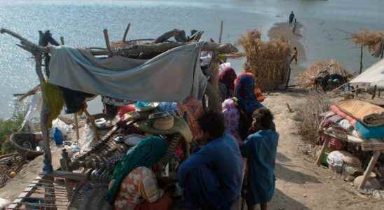 Disease crisis threatens flooded Pakistan