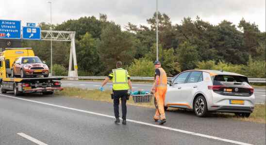 Dog killed on A1 near Eemnes