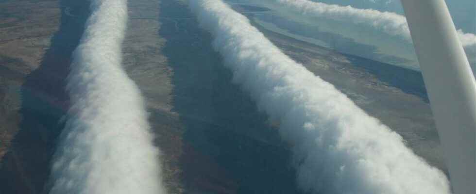 Extraordinary Weather Phenomenon Morning Glory Rolling Cloud