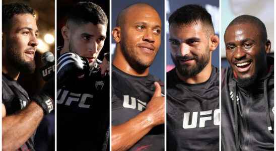 French MMA fighters in the spotlight