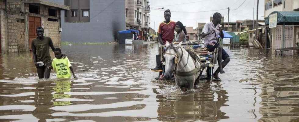 Heavy rains hit Senegal climate change at work