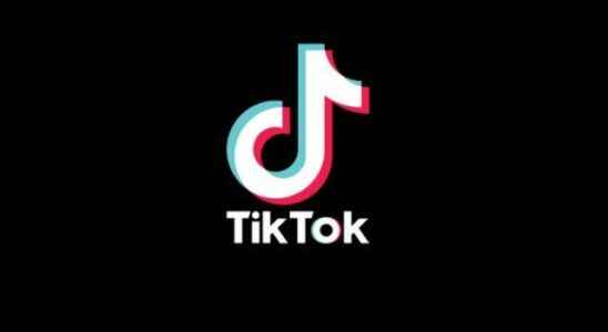 How much do TikTok influencers earn How to earn money