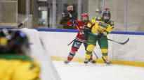 In Sweden female ice hockey players are paid in