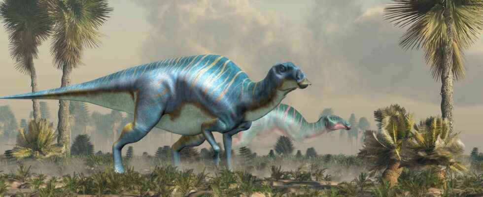 Incredible discovery of a dinosaur with remains of skin