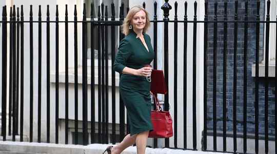 Liz Truss new British Prime Minister a very perilous assumption