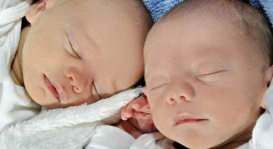 Mother gives birth to twins from different fathers