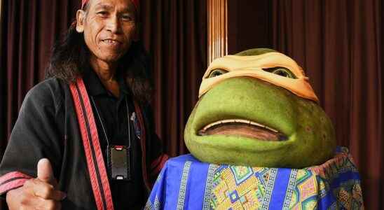 Ninja Turtles actor brings Filipino martial art to Wallaceburg