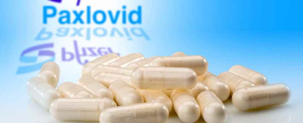 Paxlovid Covid treatment hypertension a new danger