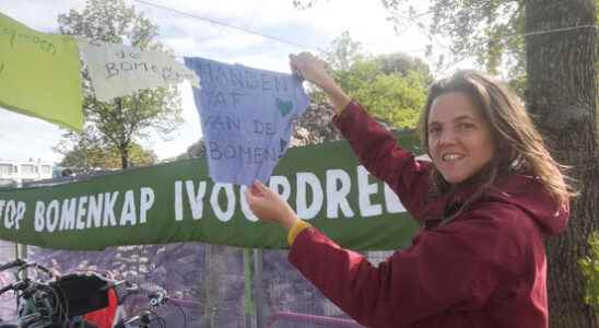 Protest in Overvecht against felling trees municipality wants green to