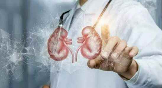 Reduce for your kidney health The more you eat the