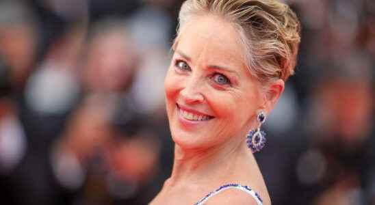 Sharon Stone has had 300 Botox injections and will never