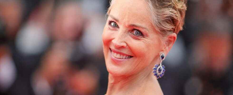 Sharon Stone has had 300 Botox injections and will never